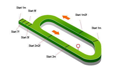 The Chepstow Racecourse map