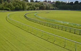The Chester May Festival racecourse view