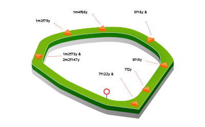 Chester Racecourse map with details of the jumps