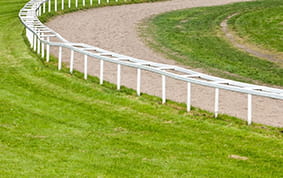 The racing turf at Newmarket
