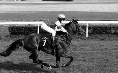 Vintage picture of a horse running at Newmarket
