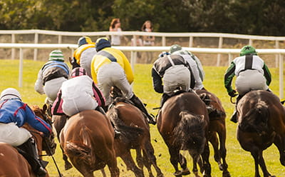 Exeter Racecourse modern day horses running
