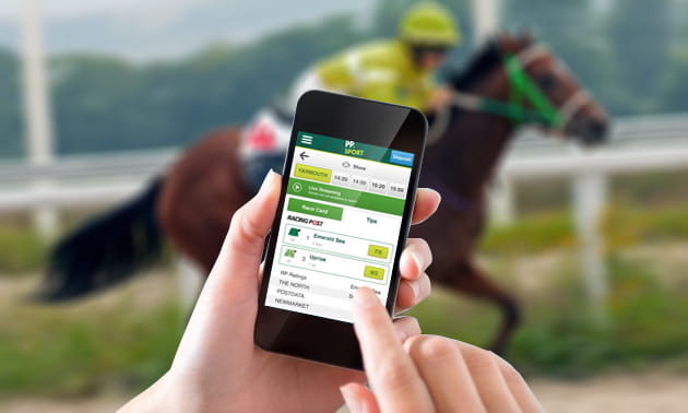 Horse racing horses overlayed by the Paddy Power betting app