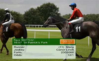 Paddy Power Virtual Racing