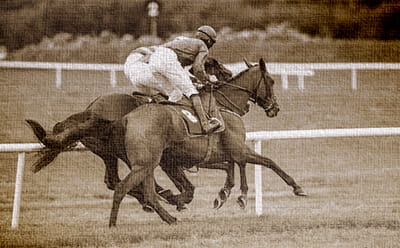 A vintage Tingle Creek race with horses running