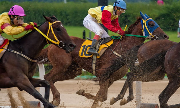 A Unibet horse racing market