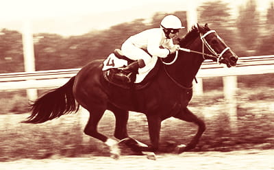 A vinatge Welsh National race with a close-up of a horse