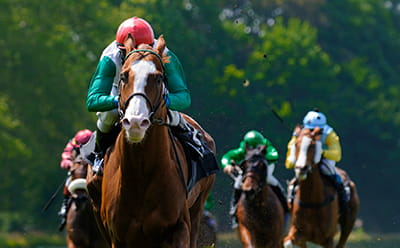 A pack of horses running