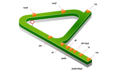 Topographical map of Ascot Racecourse