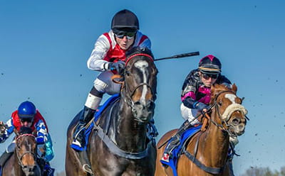 A modern race at the Ayr Gold Cup with horses running