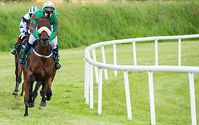 Ayr Gold Cup racecourse view with horses running