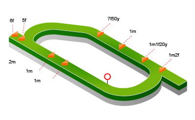 Ayr Racecourse topographical map