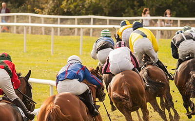 A pack of horses running at the Ayr racecourse