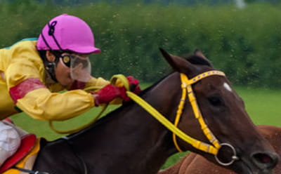 Jockey riding a horse acros the Bangor-on-dee turf