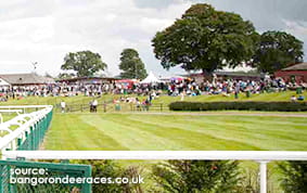 The Grandstand at Bangor