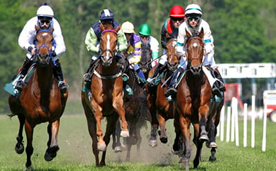 bet365 Gold Cup modern racecourse with a horse race taking place