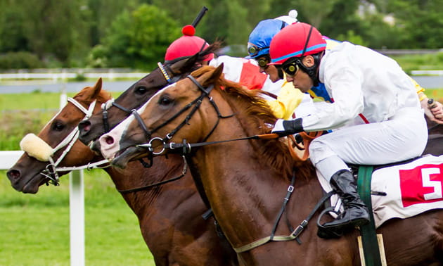 A close-up of a horse race at Betfair
