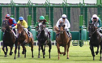 Horses tearing across the Beverley surface