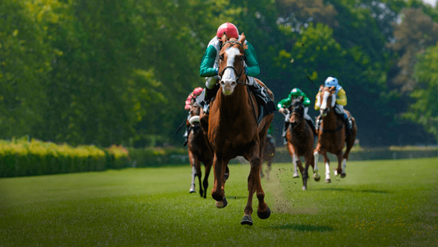 An image with five horses running down the track