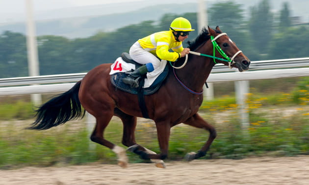 A horse racing and a jockey representing the horse racing market as Bwin