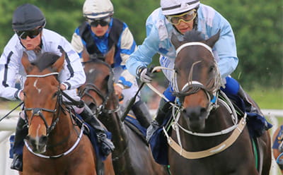 Horses running at the Cambridgeshire Meeting in a race