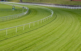 Newmarket Racecourse turf view