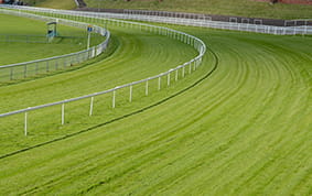 Newmarket Racecourse turf view