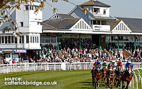 The Grandstand at Catterick Bridge