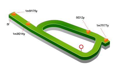  Catterick Bridge map