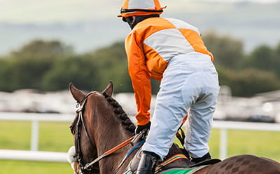 Horse running at Catterick Bridge