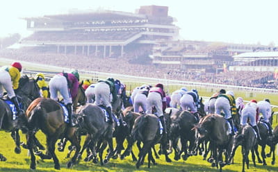 Cheltenham Festival