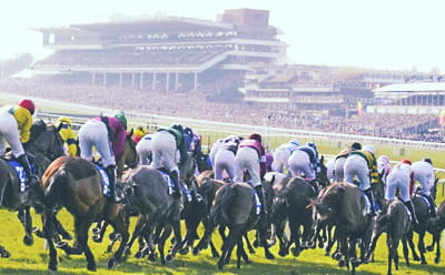 Cheltenham Festival