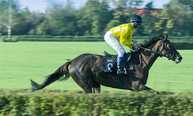 Coral Horse Racing