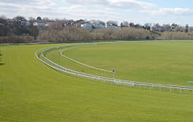 Coral Eclipse racecourse view