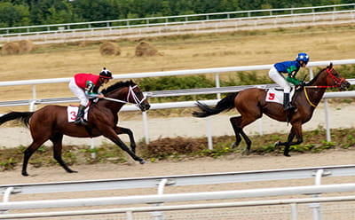 a modern Dante Festival race with two horses riding