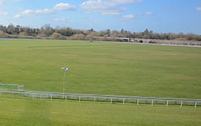 A Dante Festival racecourse view
