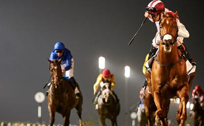 Dubai World Cup Race