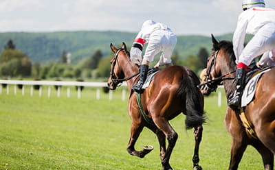 A modern Ebor Festival race with two horses