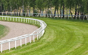 The Ebor Festival racecourse view