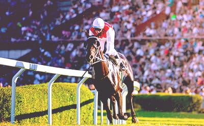 A vintage Ebor Festival race with a lone horse riding