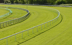 A Glorious Goodwood racecourse view