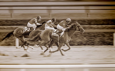 A vintage Glorious Goodwood race, photo in black and white