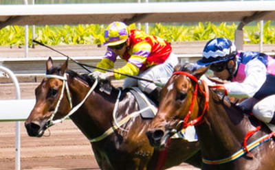 Goodwood Racecourse modern day horses running