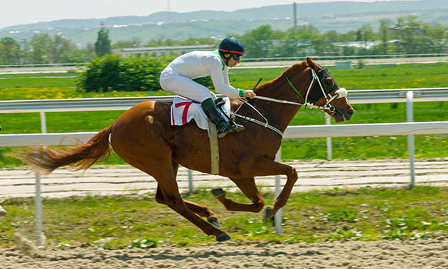 A rider and his horse galloping on racetrack