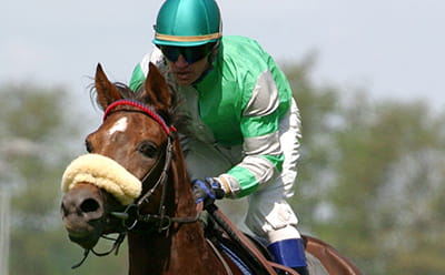 Horse running across the turf at Hamilton Park