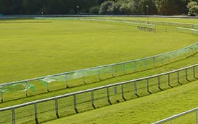 A Haydock Sprint Cup racecourse view