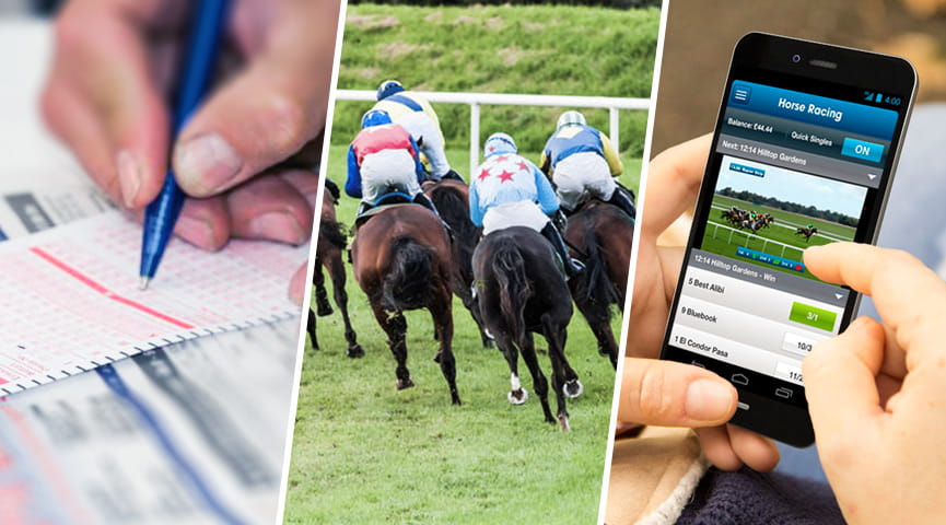 Best Horse Racing Betting Sites 2020 - The #1 Guide For UK ...