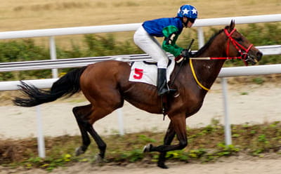 Huntingdon Racecourse modern day horse running