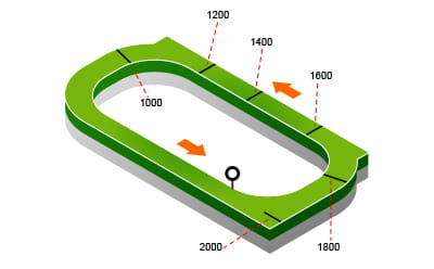 July Durban Handicap racecourse map