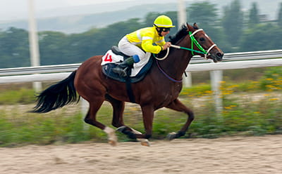A modern July Durban Handicap race with a close-up on one horse